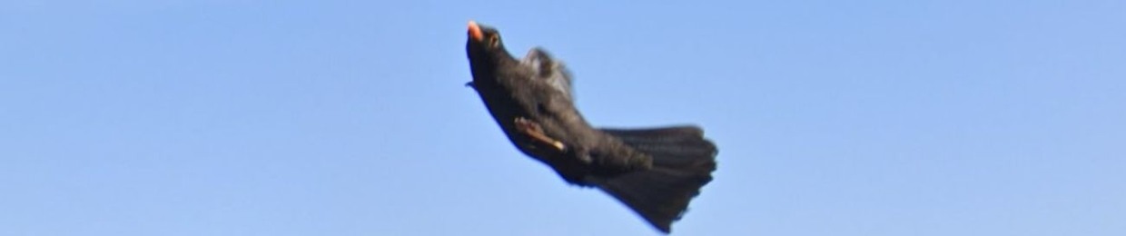 ptrl