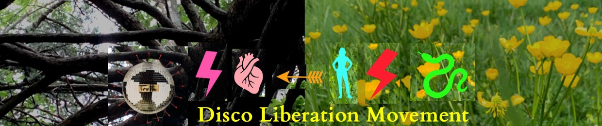 Disco Liberation Movement