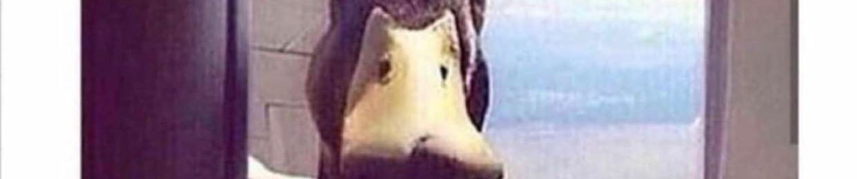 GregoryZachGillespie