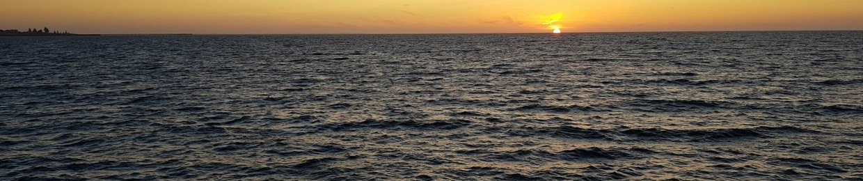 Fleeting Wave Response