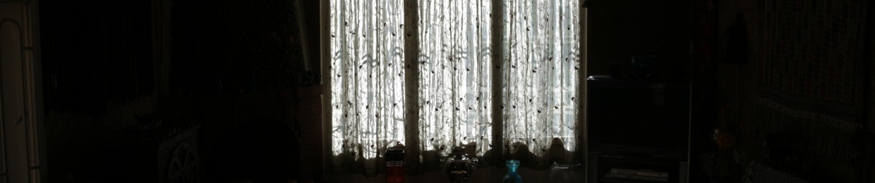 ANIGAMI