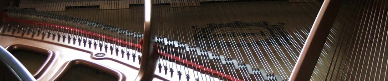 McMad's Acoustic Explorations