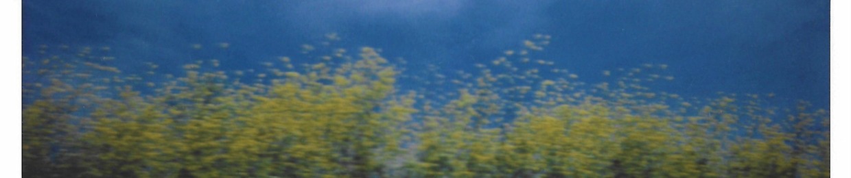 Trying Is The First Step Toward Failure