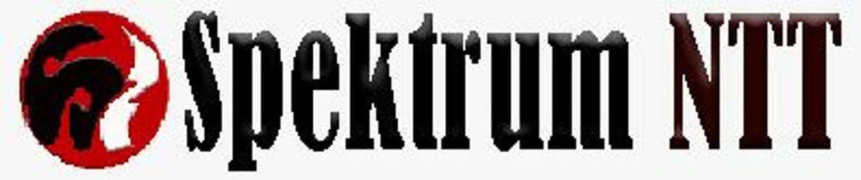 spektrum-ntt.com