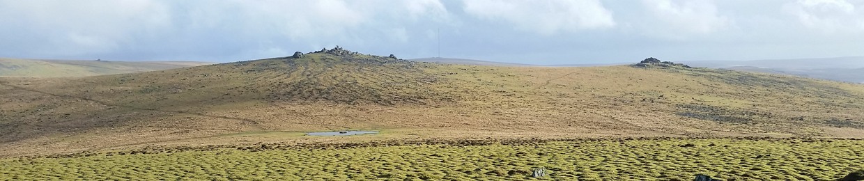 Dartmoor Recorder