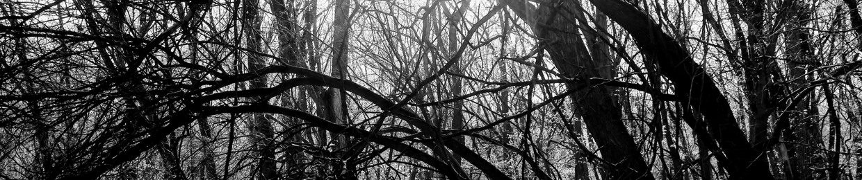 Pitch Black Manor