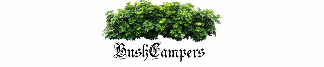 bush campers 🌳