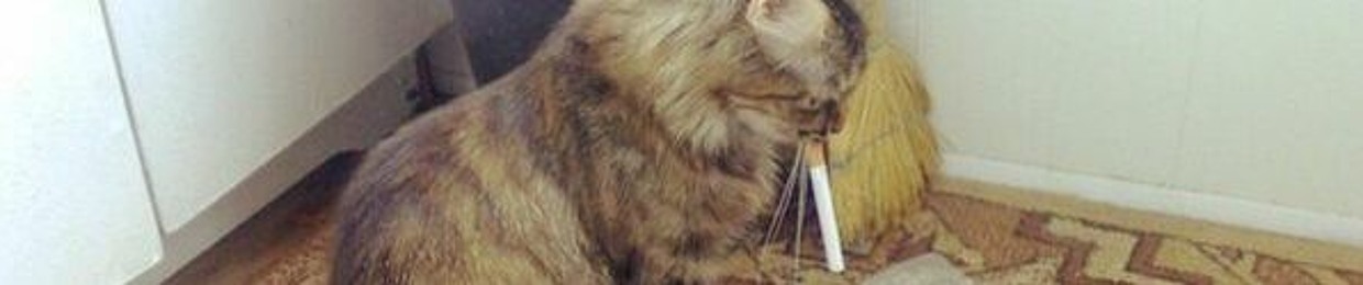 д значит данёк)