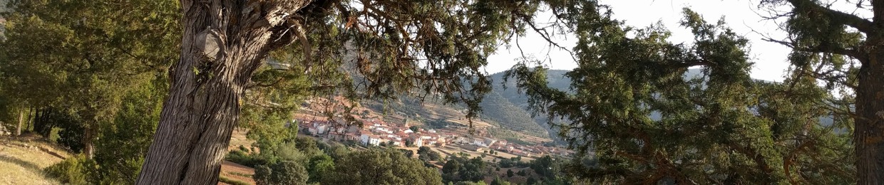 PilarBTortajada