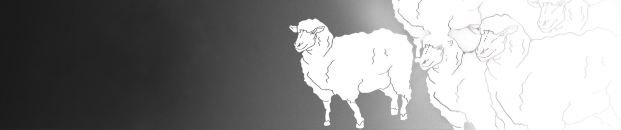 Shepherd the Sheep