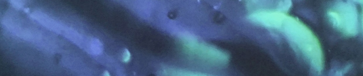 Gebhard Ullmann (compositions)