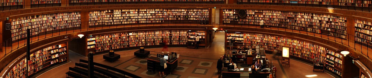 Er Nieto Library
