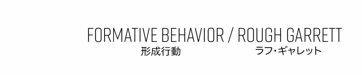 Formative Behavior