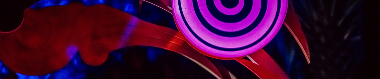 Circle Of Life Music 🪬