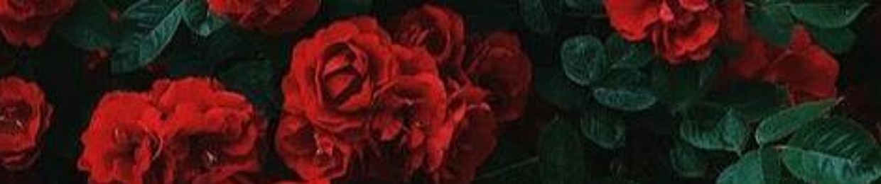 🩸Culture_Vulture🩸