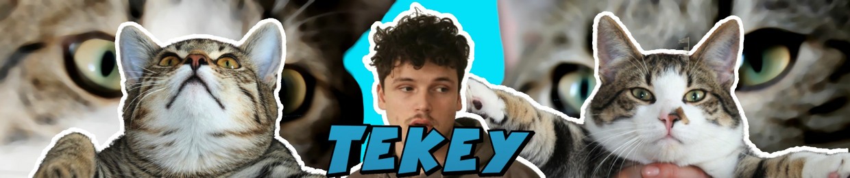 TeKey