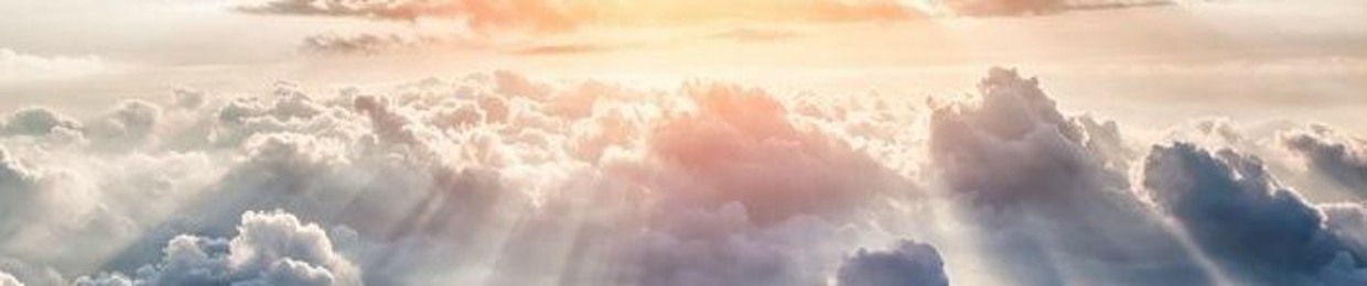 brandon carson harmon