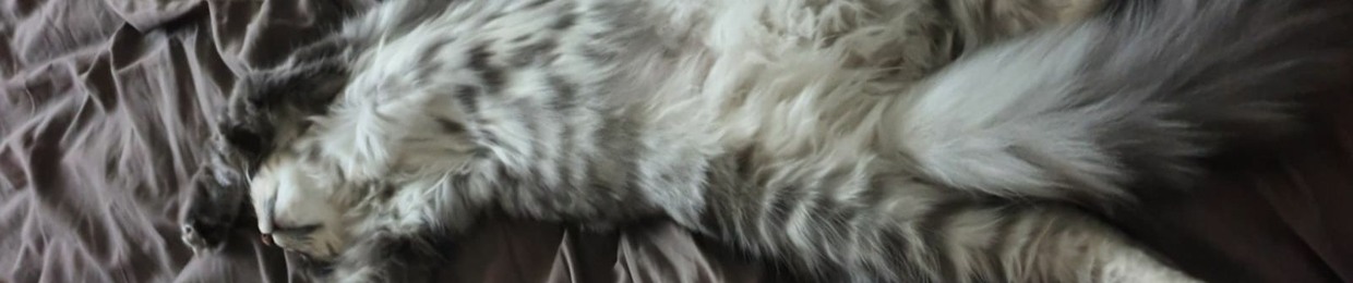 ElBun