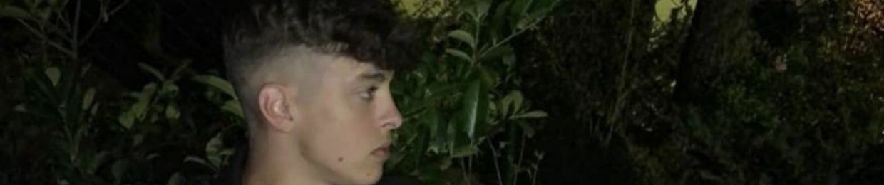 Timon2k