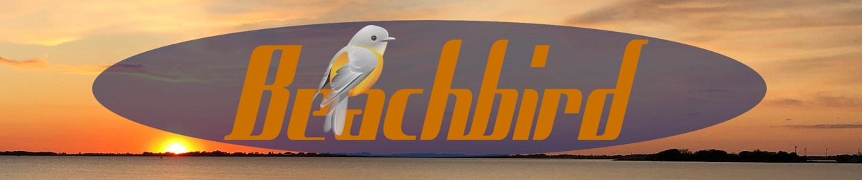 Beachbird