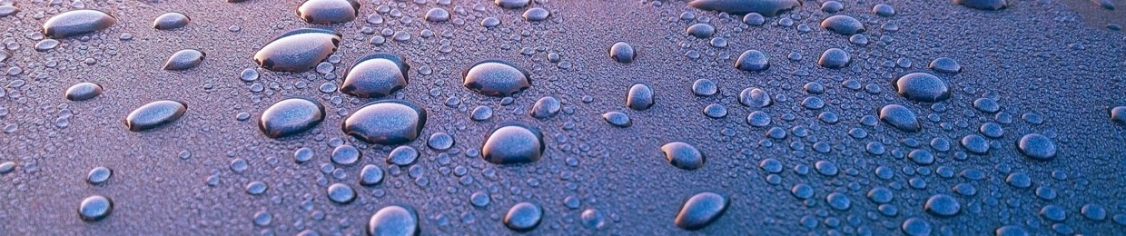 Rainon