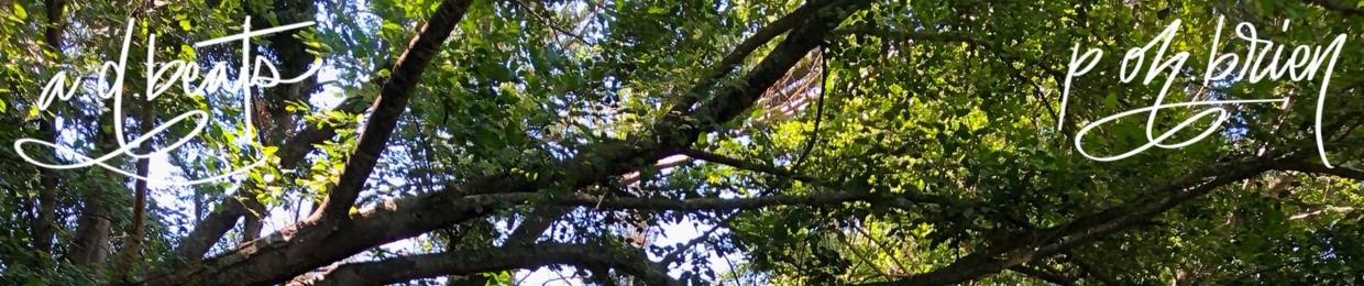 p.oh'brien