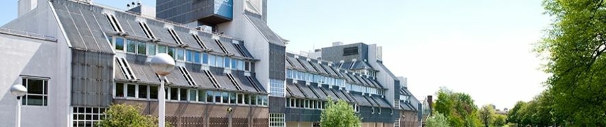 International Insights