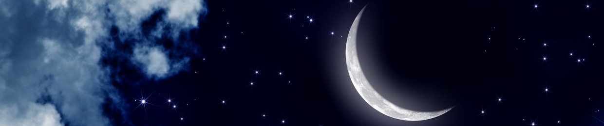 Pantherfaerie 🧚🏽‍♀️