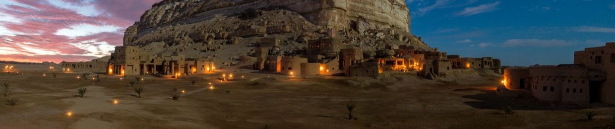 Mohamed Farouk Shamseldin