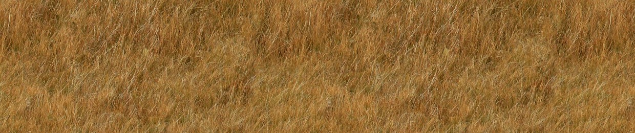 Setro