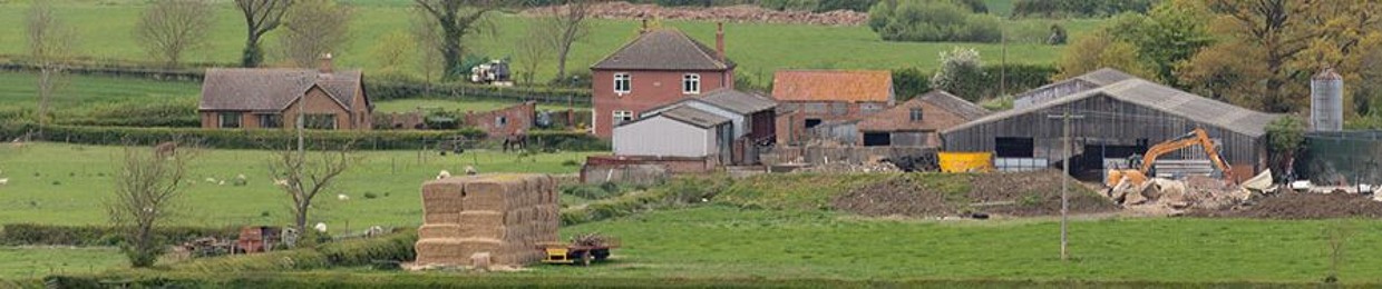 The Beats Farm