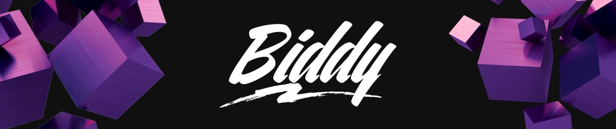 DJ BIDDY