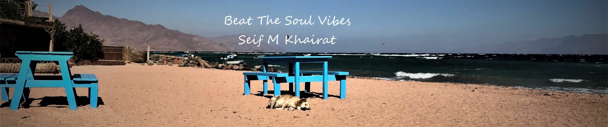 Seif M Khairat