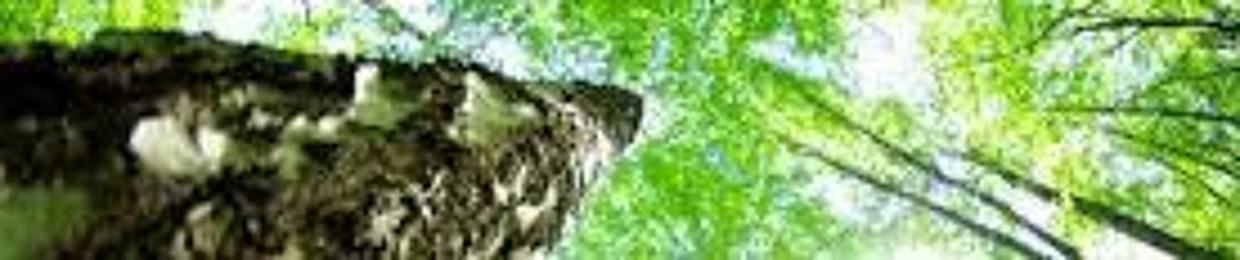 H@THORY@
