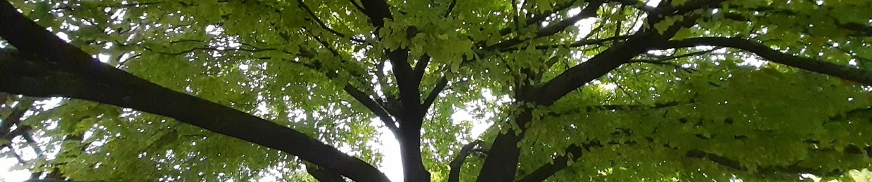 Eagle,I