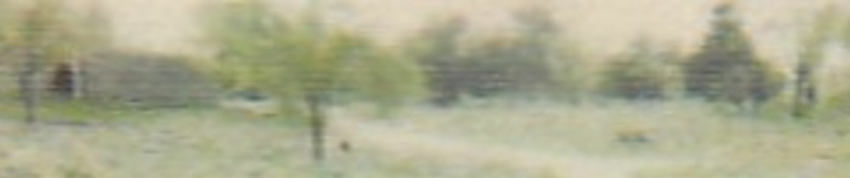 RVR3_1994