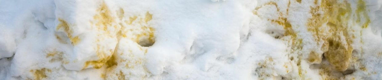 YellowSnowman