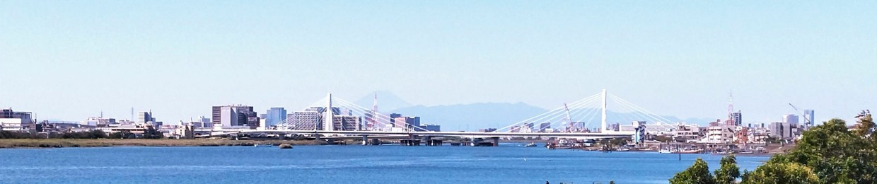 Naoyuki Hashimoto