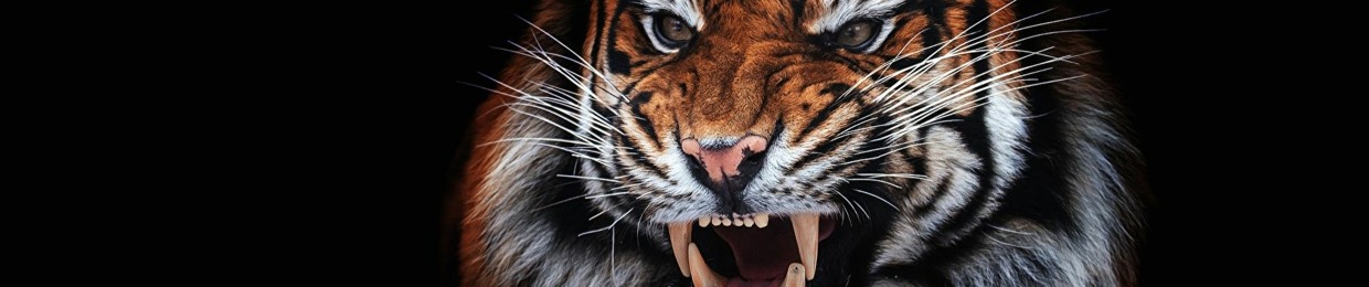 NAT ( Natal A Tigr )