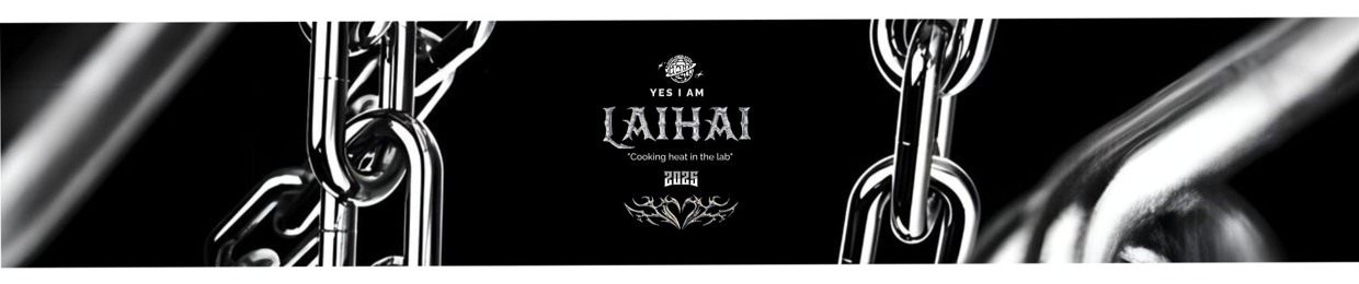 laihai_2k ₊˚ෆ