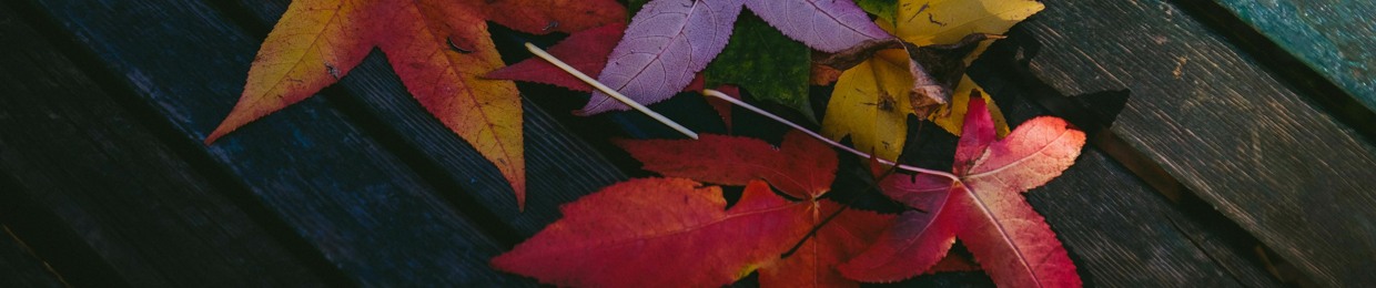 Kikuhiko(Old acc was deleted for being too spicy)