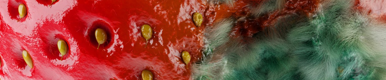 HEART CORE