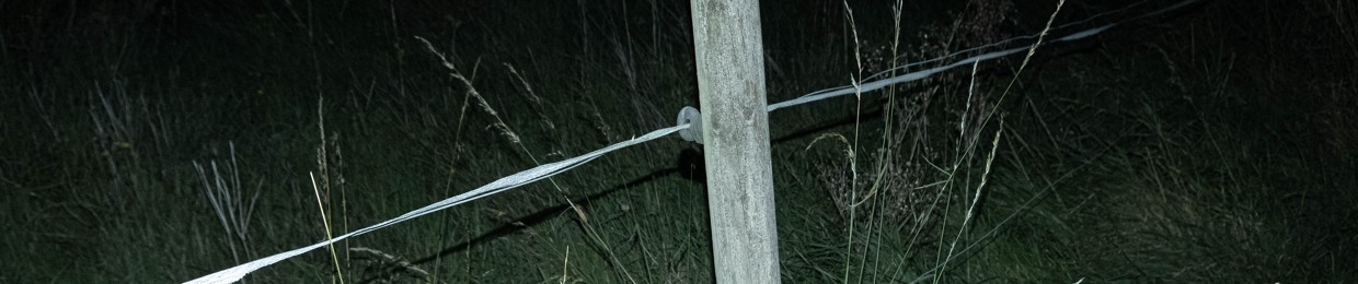 amplified soundsystem