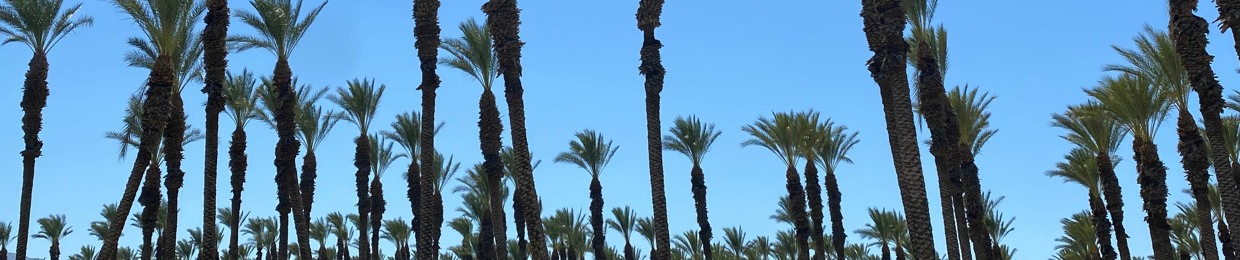 chella_vibes