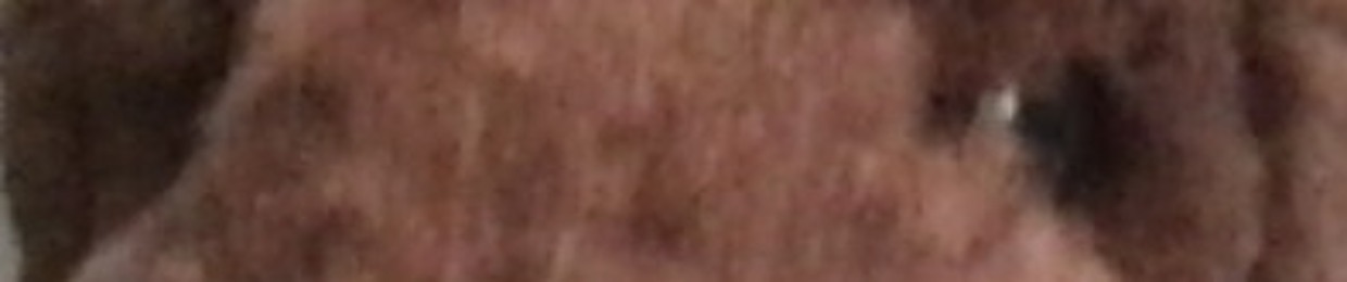 The Dynamic Duo on Dogs