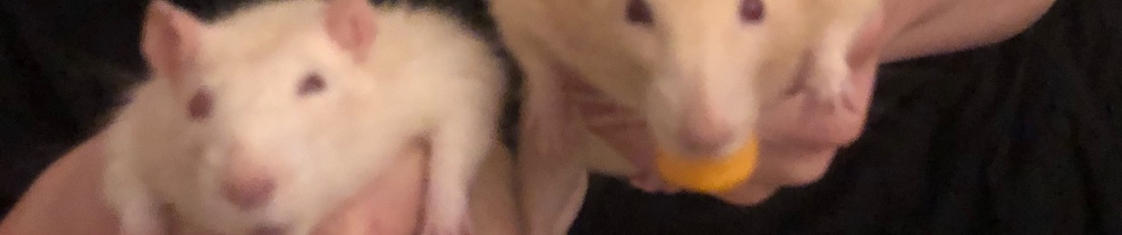 miracle bunny $upport