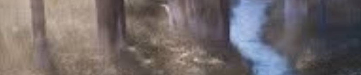 mountainlion