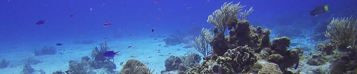 Deep Aqua Records