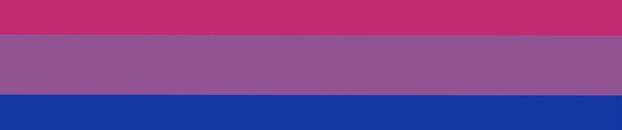 BBBisexualDisaster