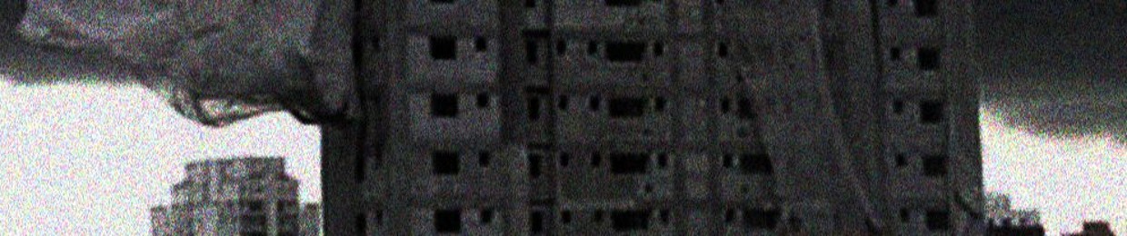 Finivoid